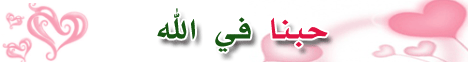 حبنا في الله لـالشيخ هاني حلمي عبد الحميد - موقع الطريق إلى الله