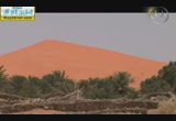 (1) أبو بكر الصديق رضي الله عنه(15/9/2014) الخلفاء الراشدون