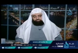 طوفان نوح عليه السلام جـ2 (10/2/2016) أيام الله
