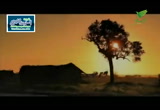 نور (12/6/2016) 