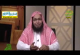 الاسد والحيوان الصغير ( 12/6/2016 ) سنريهم اياتنا