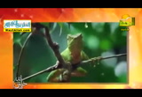 وفى السماء رزقكم ( 21/9/2016 ) هذا خلق الله