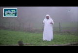 ( قبلة البيت ) أرض الحب 