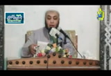 سيدنا علي رضي الله عنه والخلاف بينه وبين معاوية (الخلفاء الراشدين)