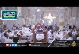 المجلس 8 (بعض التنبيهات) - المسألة 175  (دليل الناسك لآداء المناسك)