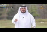 (28) عفوًا أسرتي أولًا (الحب الكبير) 
