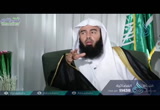 ( 7)داود والحكم بالعدل | آيات  