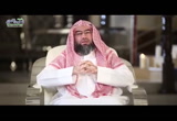 الحلقة 3 محاولة قتل يوسف  _ بني اسرائيل