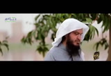 الكلب - هذا خلق الله