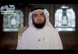 (28) الصحابة يدافعون عن عثمان (أيام عثمان)