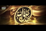 النمل - هذا خلق الله