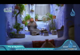   تقارب القنافد -  صفحات  