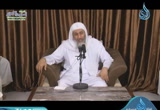  فتاوى الحج  - مناسك الحج  