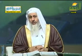 تفسير سورة ال عمران من الاية 