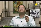 مرض السرطان على الكبد(18/9/2009) لقطة وتعليق