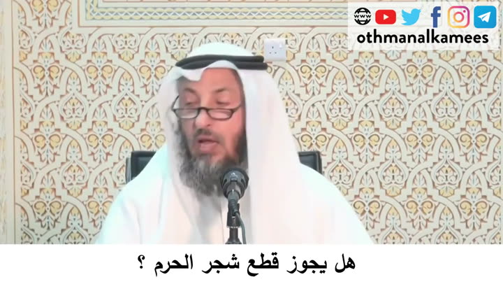   114-هل يجوز قطع شجر الحرم- شرح أحكام الحج كتاب دليل الطالب