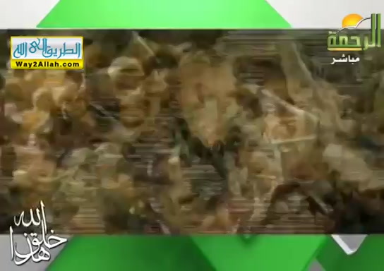 عالم الحشرات ( 16/9/2019 )هذا خلق الله