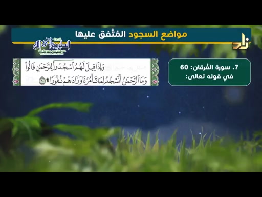 سجود التلاوة وسجود الشكر (24/10/2019 ) فقه العبادات