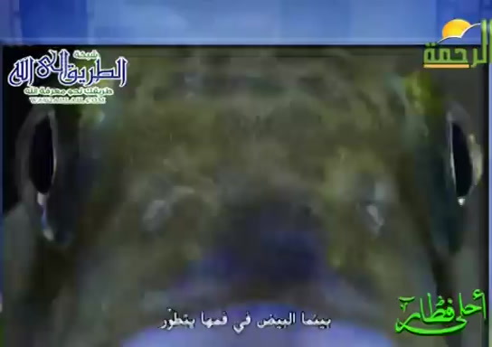 المشطيه المتسامحه ( 17/5/2020 ) احلى فطار