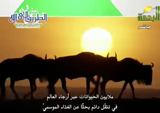 طريقة الصيد واكتساب الرزق ( 5/7/2020 ) هذا خلق الله