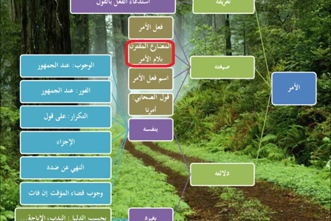  الطريق إلى علم أصول الفقه14 - الأمر- نظري تطبيقي