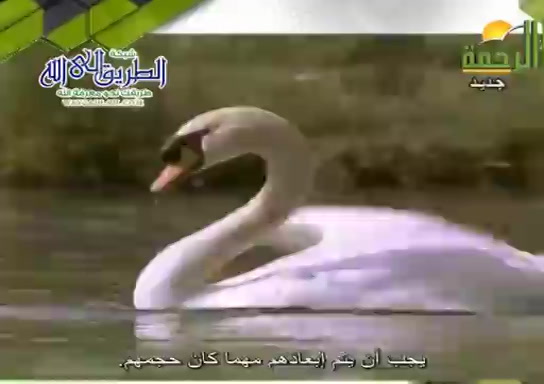 كفاح الابوين عند الطيور 1 ( 18/10/2021 ) هذا خلق الله