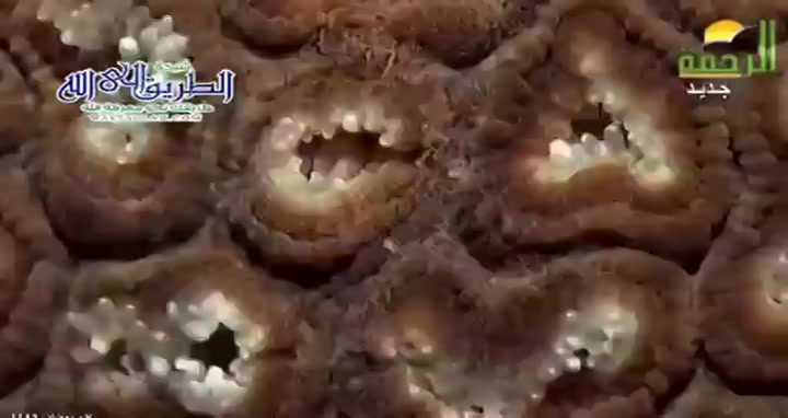 الرب ( 6/3/2025 ) رحلة الى الله