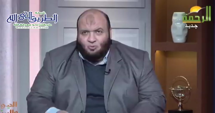 الضفادع ( 22/3/2025 ) الحيوان و الميزان - سامح عرابي