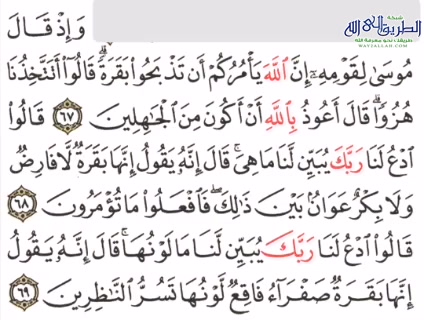  ورد القرآن اليومي دكتور محمد علي يوسف سورة البقرة 17 الآيات من67 إلي 99 التلاوة الشيخ محمود مجاهد