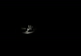 خواطر حول مقتل فنانة (22/5/2009)