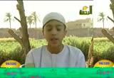 مصابيح صغيرة (24/5/2008)