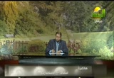 الأزمات طريق للتربية2-العلاج(23/11/2012) فن التربية