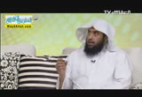 الزبير ( 17/7/2013 ) الصفوة