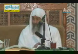 قصة سيدنا داود ( 10/10/2013 ) لقاءات
