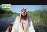 ثمرات الايمان ج 2 ( 3/7/2014 ) القارب