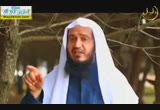 الطريق إلى رحمة الله( 20/7/2014) قبيل الغروب